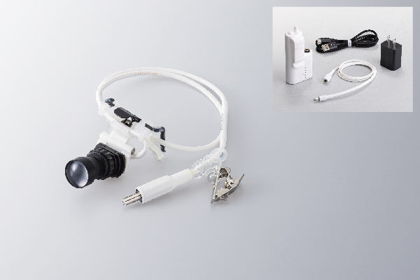 1a_メガライトアップN